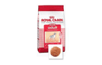 Royal Canin Medium Adult 15 kgs